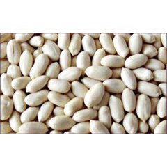 * * * * * supplier kacang tanah kupas * * * * *