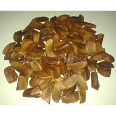 * * * * * mahogany seeds * * * * *