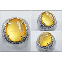 hot golden raflesia bengkulu, crystal body glass - rls 023