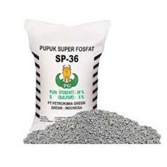 pupuk sp 36
