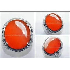 top red raflesia super big size ( rls rls 032 )