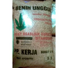 benih padi unggul way apoburu
