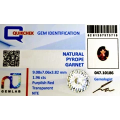 gst1211 - garnet