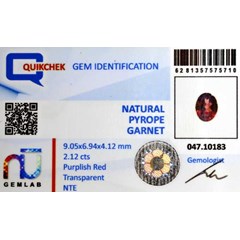 gst1208 - garnet