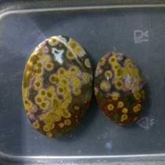 batu akik telur katak / telur kodok