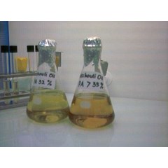 minyak nilam ( patchouli oil)