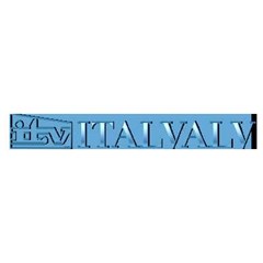 italvalv indonesia