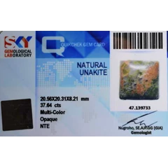gst1108 - unakite