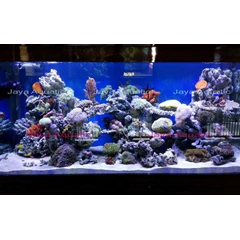dekorasi aquarium 1.5 meter