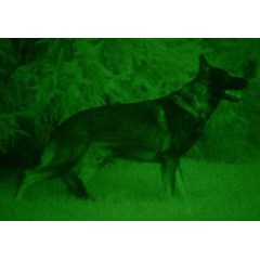 teropong malam bushnell nightvision 2x24 monocular model 260224w