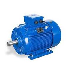 marelli induction motor 