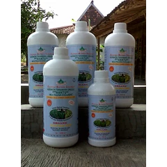 peluang usaha pupuk hantu tanaman buah naga