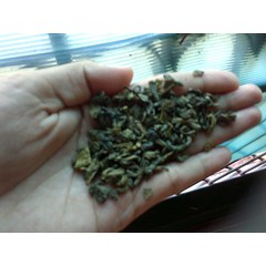teh peluntur lemak greentea
