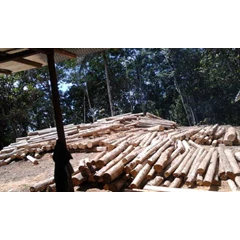 kayu jati balok (square) dan komponen papan