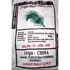 tsp 46 cina
