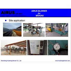biogas blower