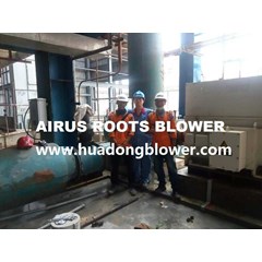 roots blower