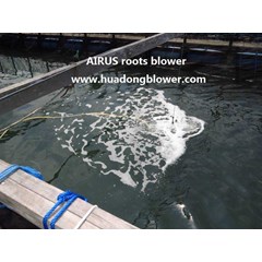 air blower aerator and blower tambak