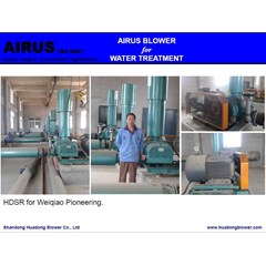 airus roots blower