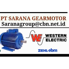 western electric motor pt sarana gear motor 50 hz foot