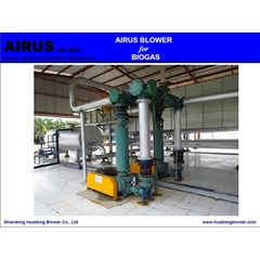 airus biogas roots blower