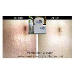 msi fruit serum stem cell 