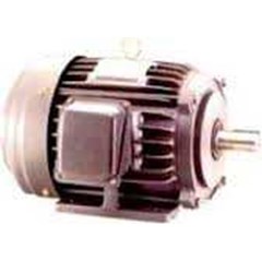 induction motor lm 