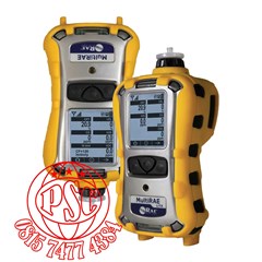 multirae lite pgm-6208 detektor gas raesystems