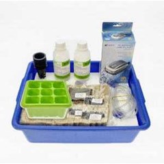 jirifarm paket starterkit hidroponik floating raft 6