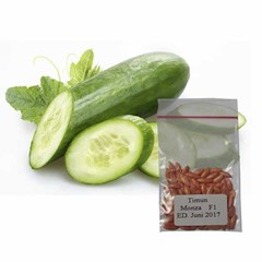 jirifarm hidroponik (09300) benih/bibit timun monza f1 100 butir