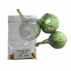 jirifarm hidroponik (09234) terong bulat 