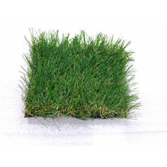 rumput lapangan olahraga
