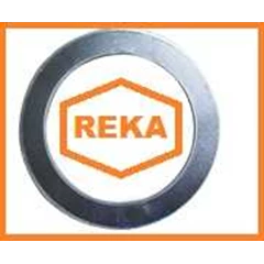 tanged metal reinforced graphite gasket