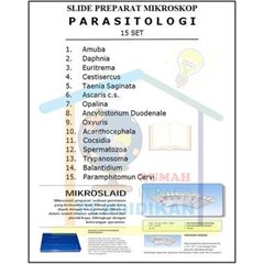 mikroslaid (slide preparat) mikroskop parasitologi (isi 30 slide)