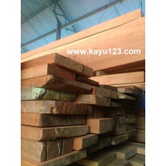 kayu meranti batu 