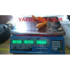 timbangan digital duduk 30 kg