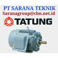 tatung electric motor