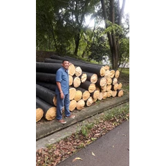 geotextile woven