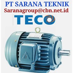 teco motor