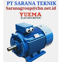 yuema electric motor