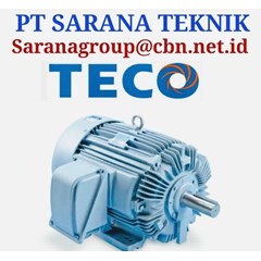 teco motor