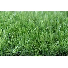 toko rumput sintetis denpasar