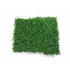 toko rumput hiasan bali