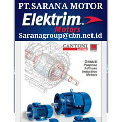 ac motor elektrim cantoni motor pt sarana motor