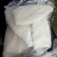 cumi tube impor - cumi kupas tube surabaya