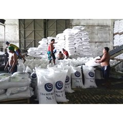 kacang kedelai impor usa harga murah
