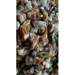 daging seliwir kerang kampak - surabaya