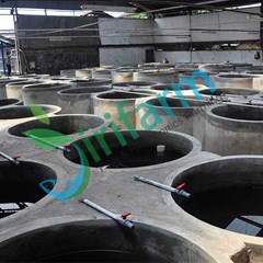 jirifarm ikan lele segar dan higienis pakan pelet 100%
