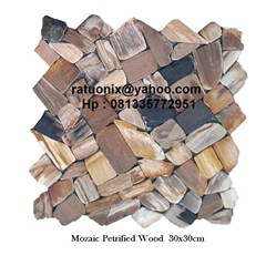 mozaic petrified wood