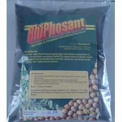 rhizobium